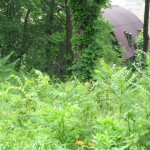IMG_1904